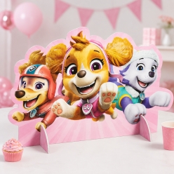 PAW Patrol Pink 17